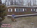 Dog fun